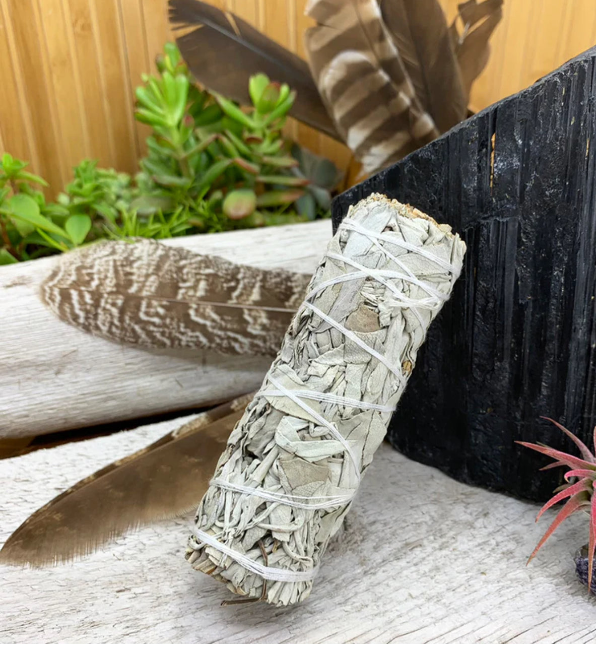 White sage